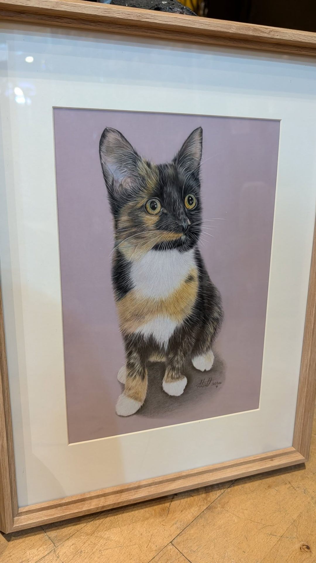 Hand-drawn cat portrait — a recent pet commission by Amanda